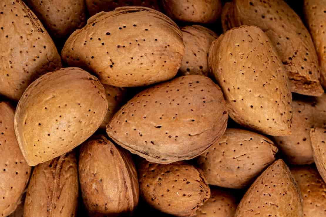 تصویر 1 از قیمت خرید بادام درختی کاغذی با فروش عمده